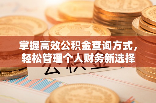 济宁掌握高效公积金查询方式，轻松管理个人财务新选择