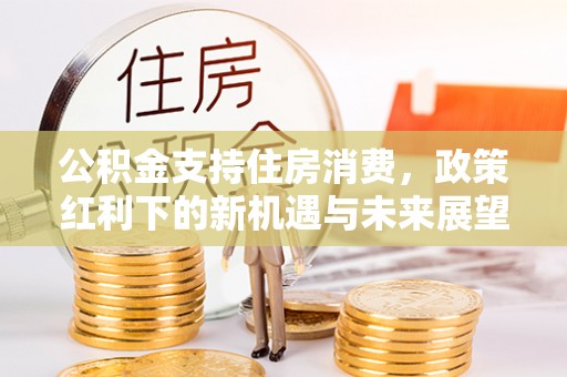 济宁公积金支持住房消费，政策红利下的新机遇与未来展望