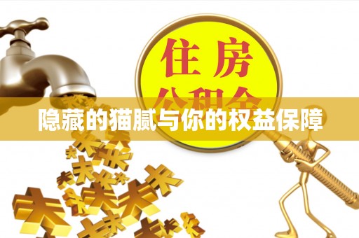 济宁隐藏的猫腻与你的权益保障