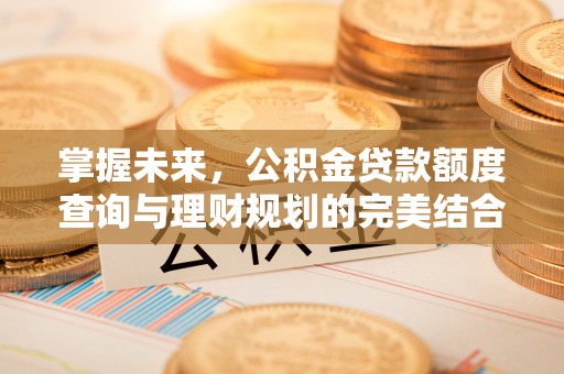 济宁掌握未来，公积金贷款额度查询与理财规划的完美结合