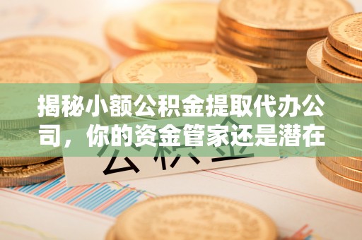 济宁揭秘小额公积金提取代办公司，你的资金管家还是潜在风险？