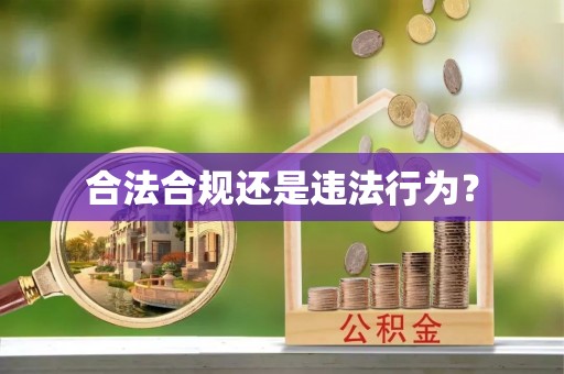 济宁合法合规还是违法行为？